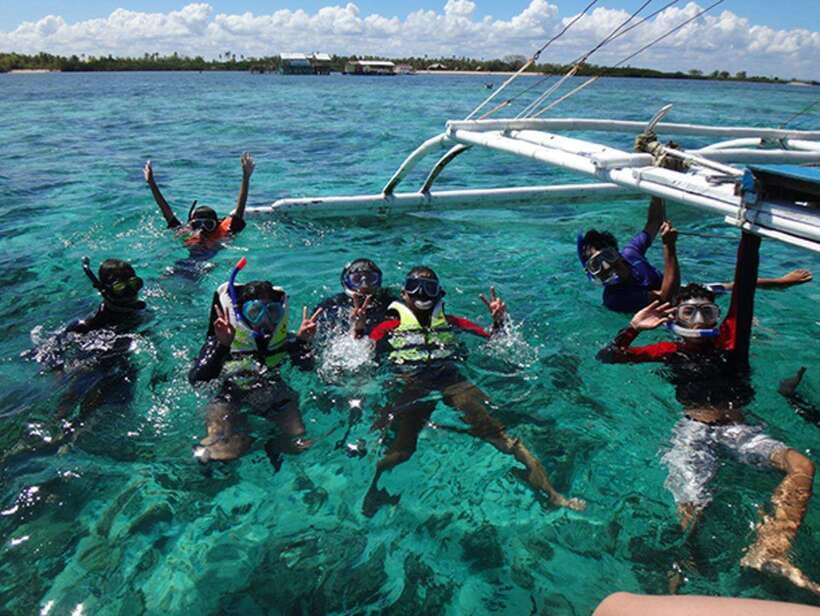 Cebu: Oslob Whaleshark Scuba Diving & Sumilon Sanctuary - Is $251 per person fair?