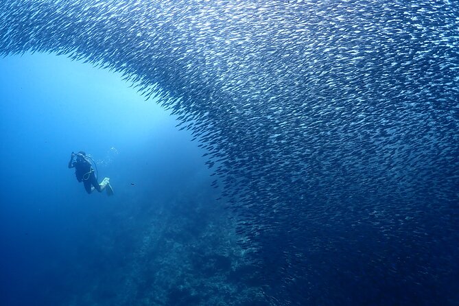 Cebu: Scuba Diving Experience beach entry in Mactan - What to bring to the beach