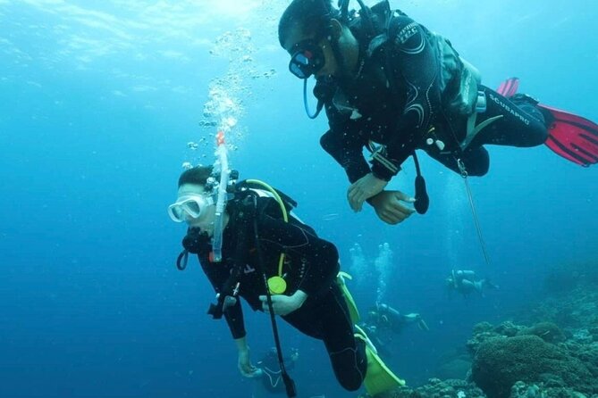 Cebu: Scuba Diving Experience beach entry in Mactan - The shop briefing makes the difference