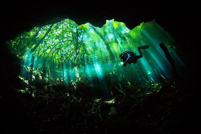 Cenote Diving - 2 Tank Dive Trip for Certified Divers - Why cenotes make this Playa del Carmen trip special