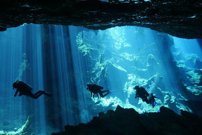 Cenote Diving - 2 Tank Dive Trip for Certified Divers - The 45-minute break between sessions