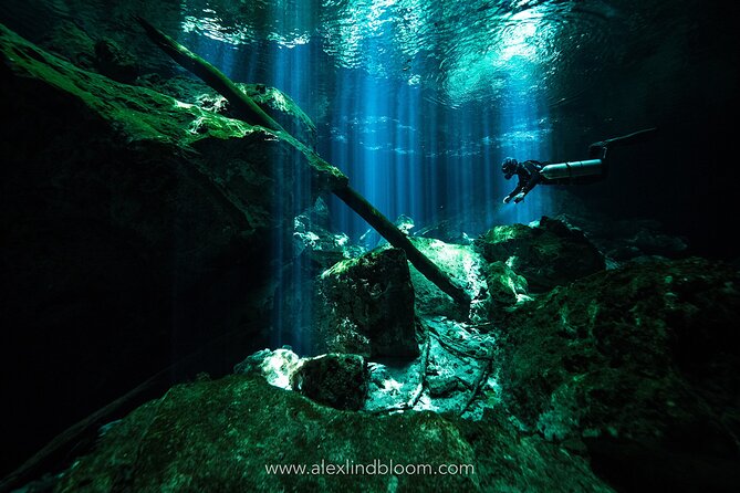 Cenotes 2-Day Scuba Diving Package in the Riviera Maya - Two days, two sides of the Riviera Maya