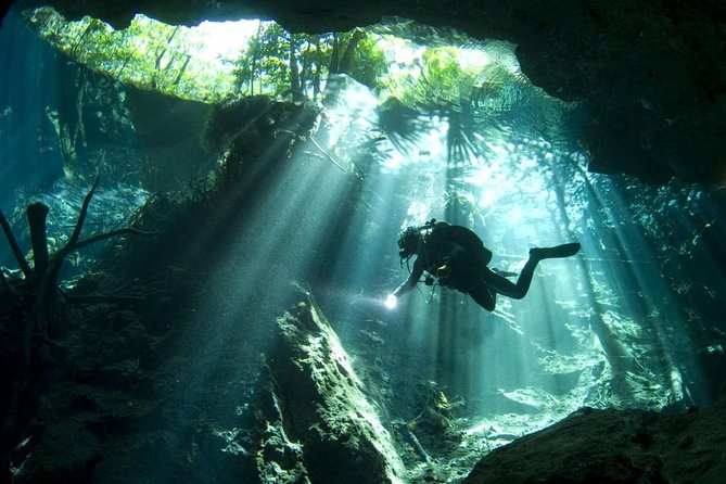 Cenotes 2-Day Scuba Diving Package in the Riviera Maya - Day two: clear water and cavern scenery