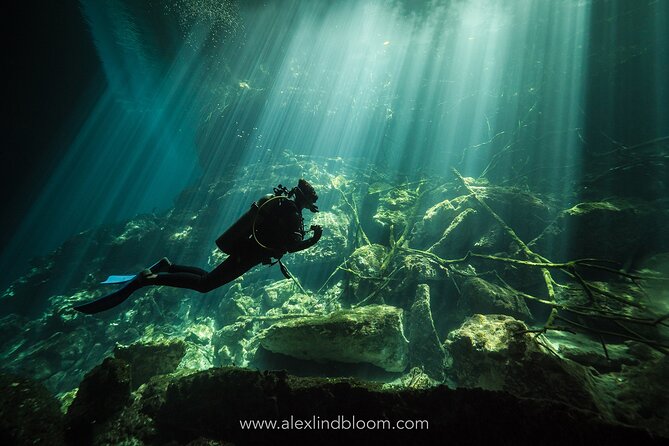 Cenotes 2-Day Scuba Diving Package in the Riviera Maya - Day one: reef sessions near Playa del Carmen