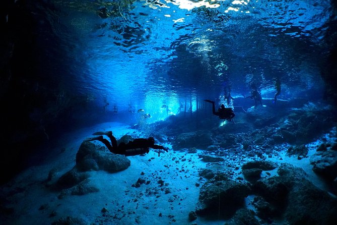 Cenotes 2-Tank Dive in Playa del Carmen/for certified divers only - What the two underwater sessions include