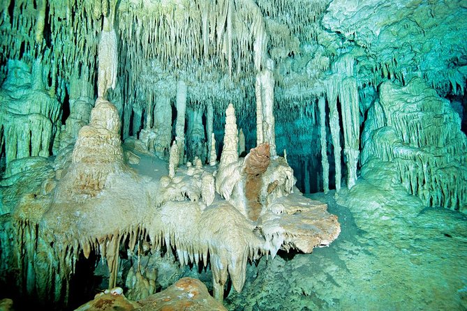 Cenotes 2-Tank Dive in Playa del Carmen/for certified divers only - Reaching the cenotes through the jungle