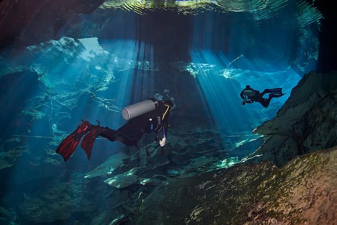 Cenotes diving - Ponderosa and Tajma Ha: wildlife and a limestone palace