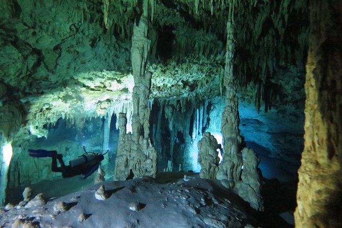 Cenotes diving Dos Ojos and The Bat Cave - Why Dos Ojos makes such a good first cenote