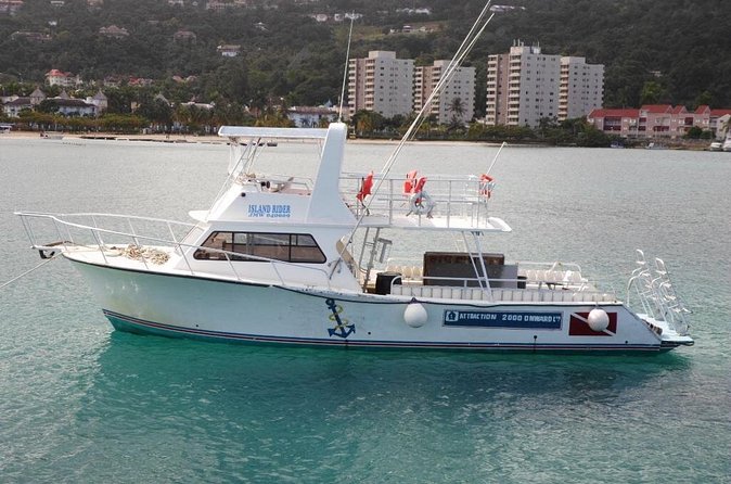 Certified 2-Tank Scuba Diving Tour from Montego Bay - Two North Coast sites, with more than reef scenery