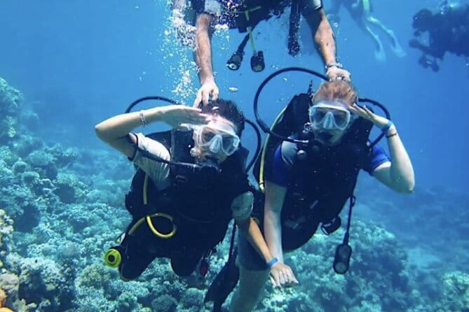 Certified and Beginner Scuba Diving from Pattaya - Thai Buffet Lunch on the Boat