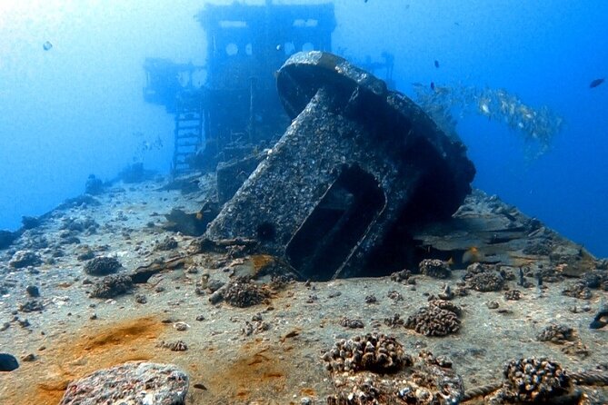 Certified Diver: 2-Tank Deep Wreck and Shallow Reef Dive Off Oahu - The Shallow Reef Stop Around 50 Feet