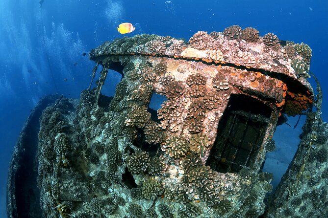 Certified Diver: 2-Tank Deep Wreck and Shallow Reef Dive Off Oahu - Water Temperature, Depth, and Personal Readiness