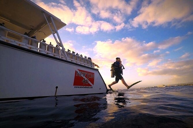Certified Diver: 2-Tank Night Dive - Key points to know before booking