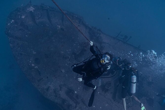 Certified Divers: Best 2-Tank Wrecks & Reef Boat Dive All Inclusive From Waikiki - Marine life: turtles, rays, eels, and more