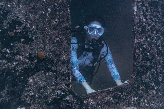 Certified Divers: Best 2-Tank Wrecks & Reef Boat Dive All Inclusive From Waikiki - Price and what the $259 includes
