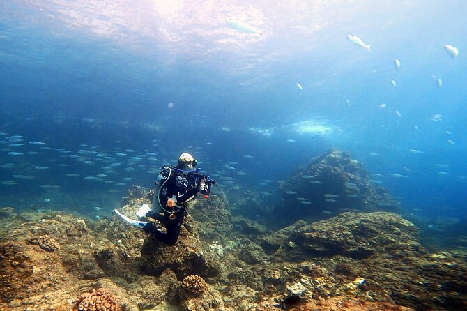 Certified Divers! Scuba dive the Ka'anapali Coast and more! - Why shore scuba can be better than a boat trip