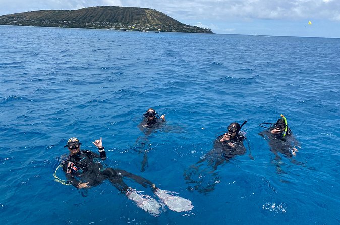 Certified Scuba Diving Along Two Shallow Reef Sites - Weather, visibility, and the limits of a reef charter