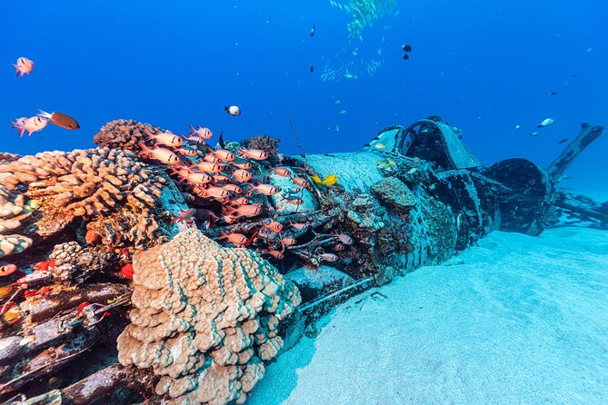 Certified Scuba Diving Experience in Honolulu - A safety-minded crew earns its strong rating
