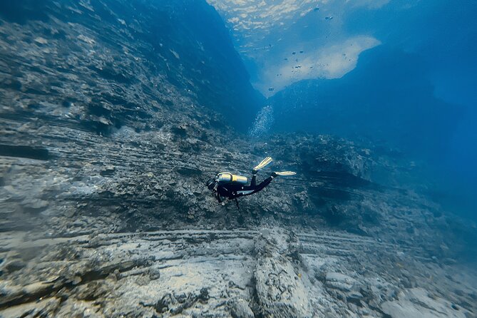 Certified Scuba Diving Experience in Honolulu - Who will get the most from this charter