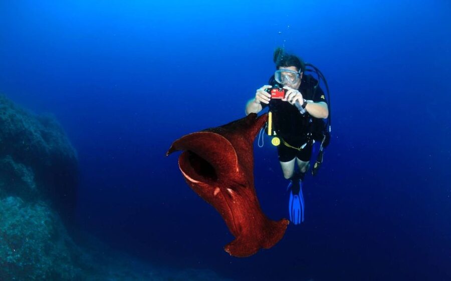 Cesme: Scuba Diving Experience - The safety briefing for first-timers