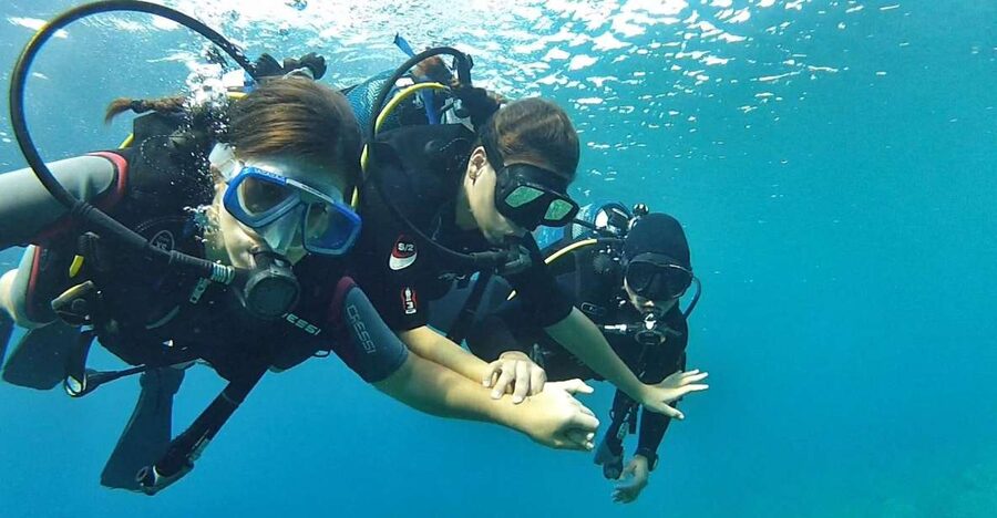 Chalkidiki: Scuba Diving for Beginners in Kassandra - Why this Kassandra session works for first-time scuba