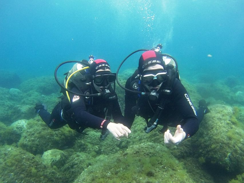 Chalkidiki: Scuba Diving for Beginners in Kassandra - Equipment, health rules, and preparation