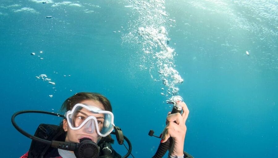 Chania: 2 Boat Dives for Certified Divers - Key points at a glance