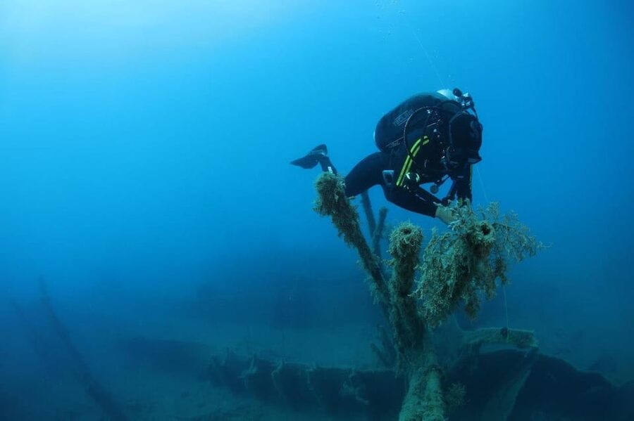 Chania: 2 Boat Dives for Certified Divers - From the port to the first underwater site