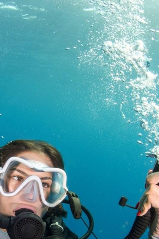 Chania: 2 Boat Dives for Certified Divers - Returning to the center and getting home