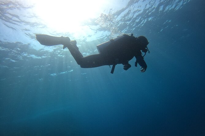 Chania Scuba Diving 2 Shore Dives(Receive Certification) - Returning to the center and deciding how to leave