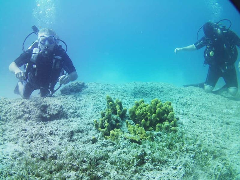 Chania: Scuba Diving and Snorkeling for Beginners by Boat - Timing, weather, and practical limits