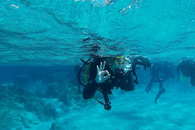 Chania: Scuba Diving for Beginners - The 30-minute lesson: the part that makes the sea time work