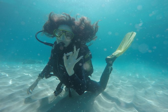 Chania: Scuba Diving for Beginners - What you might see beneath the surface