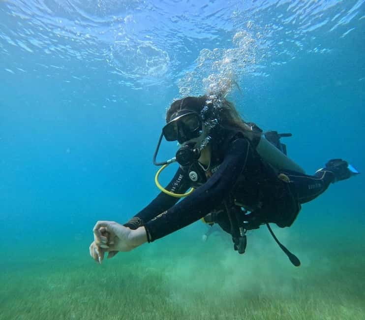 Chania :Scuba Diving for Beginners-Boat Dive - Who should book this experience?