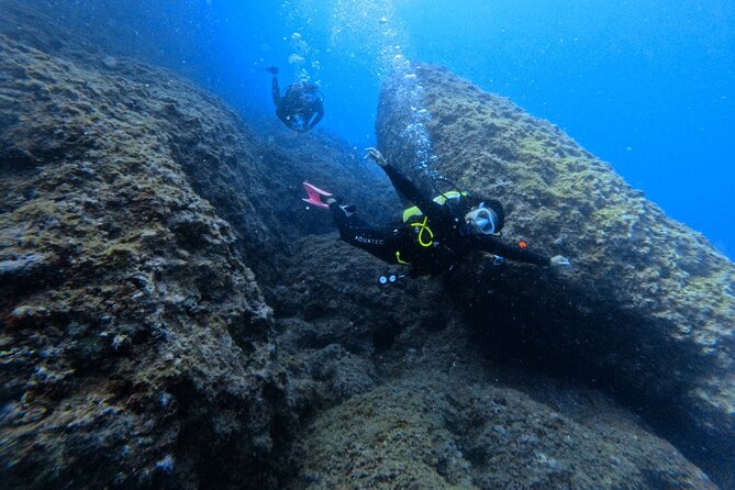 Chania Scuba Diving | Shore Dives | Certified Divers - One session or two during the four-hour outing