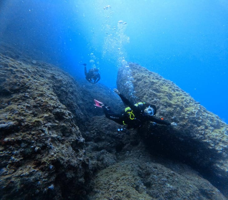 Chania Scuba Diving: Shore Dives for Certified Divers - Key points to know before you book