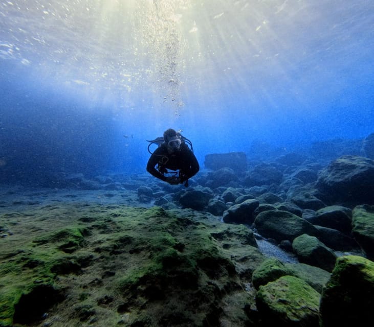 Chania Scuba Diving: Shore Dives for Certified Divers - Traveling from Almyrida to a sheltered shore site