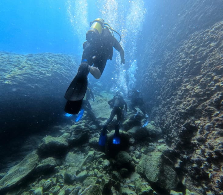 Chania Scuba Diving: Shore Dives for Certified Divers - What the 1 or 2 session option really means