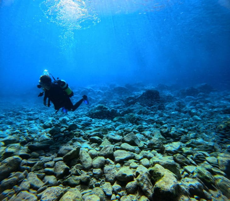 Chania Scuba Diving: Shore Dives for Certified Divers - The equipment and safety routine