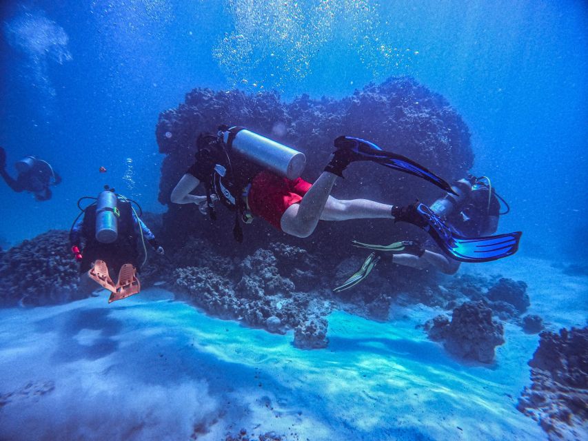 Chania:Try Scuba Diving 2shore dives(Receive Certification) - Quick facts about the Chania scuba experience