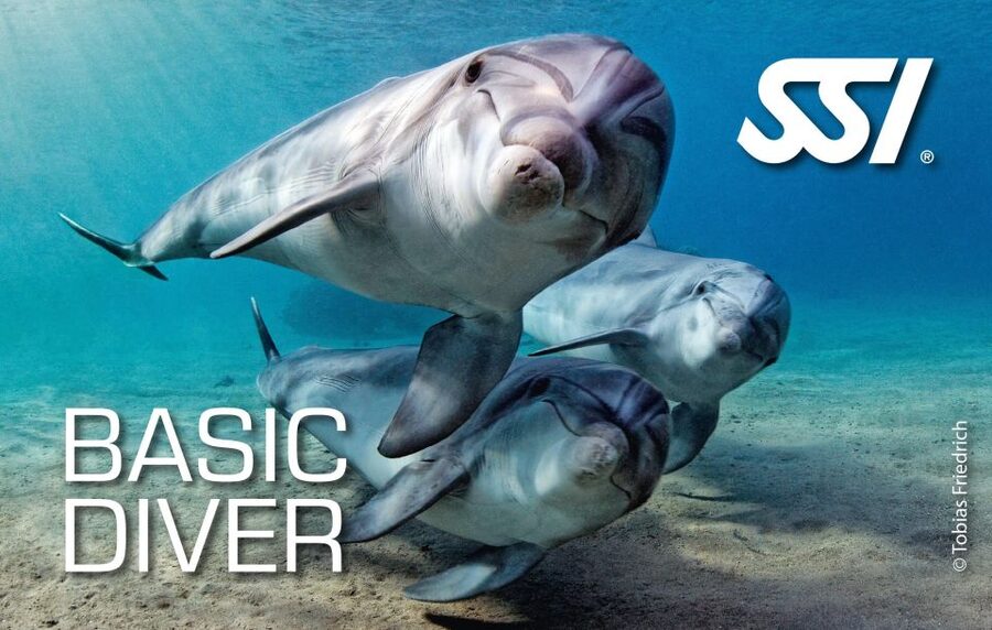 Chania:Try Scuba Diving 2shore dives(Receive Certification) - What the SSI Basic Diver certificate means