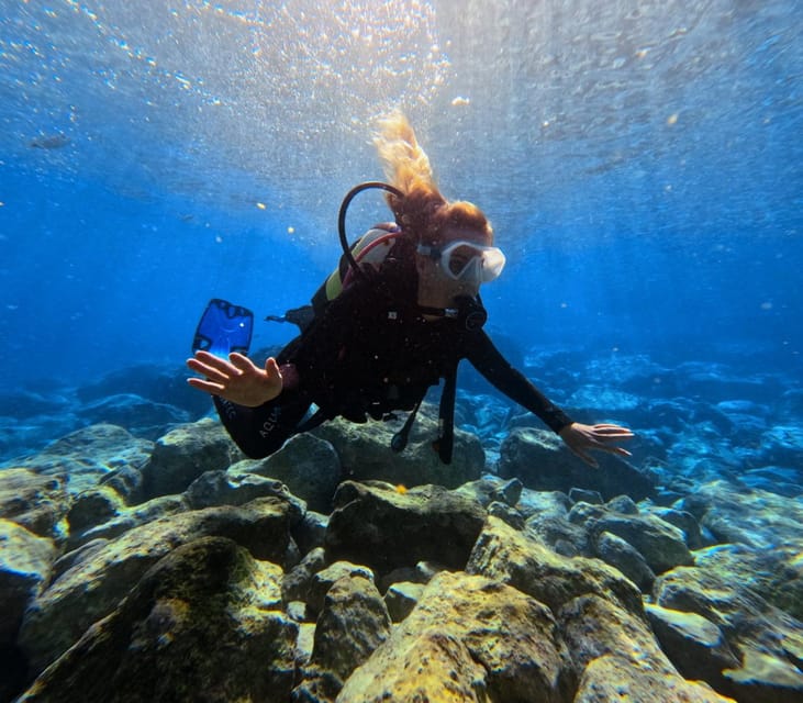 Chania: Try Scuba Diving / Discover Scuba Diving - Meeting Crete’s underwater residents
