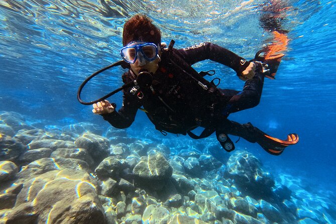Chania | Try Scuba Diving | Introduction Dive - The Marine Life You Might See in Almyrida