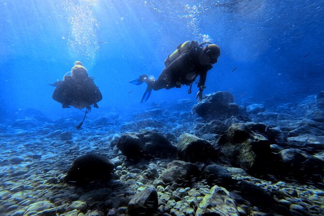 Chania | Try Scuba Diving | Introduction Dive - What Makes the Instruction Valuable