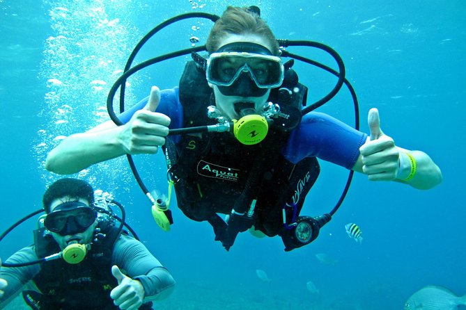 Chankanaab Cozumel Scuba Diving - Why this Cozumel outing works for beginners