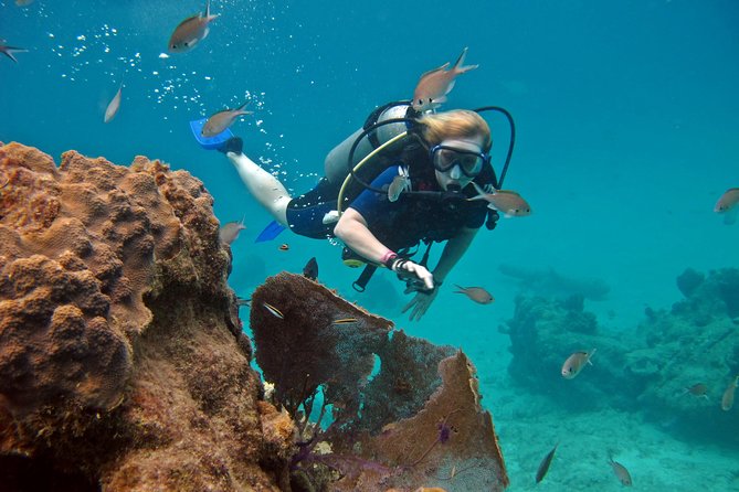 Chankanaab Cozumel Scuba Diving - Making the most of the park afterward
