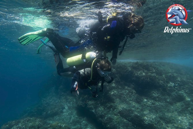 Children's PADI Diving Experience in Gran Canaria - What the $80.98 price covers