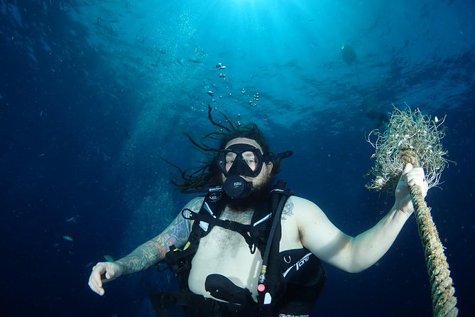 Chumphon Pinnacle-Koh Tao 2 dive trip for certified divers - Two underwater sites from Koh Samui