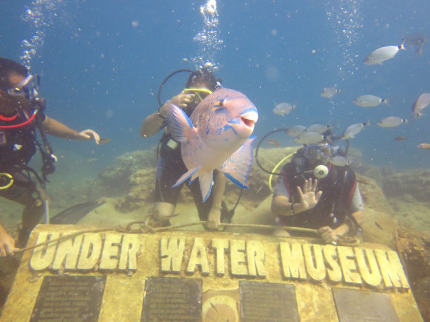 City of Side: Scuba Diving with Lunch - What the $42 price includes