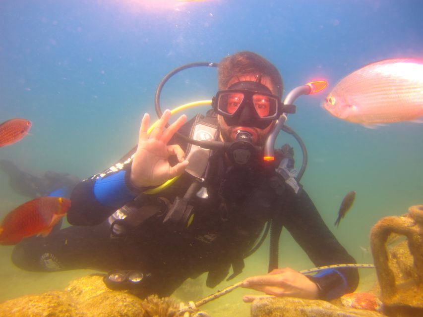 City of Side: Underwater Museum Scuba Diving Visit - Should You Book the Side Underwater Museum?